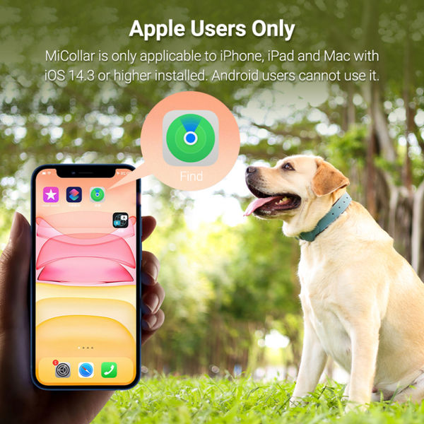 Mitag Anti Loss Device with Collar for Small Dogs (Black) | IOS