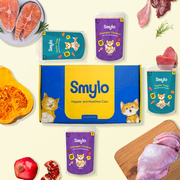Smylo Kitten Variety Combo, Tuna & Chicken, Fresh & No-Preservative Wet Cat Food