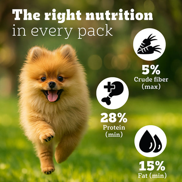 Pedigree PRO Expert Nutrition Small Breed Puppy (2 to 9 Months) Dry Food