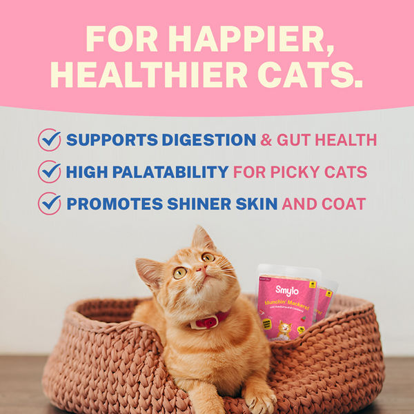 Smylo Adult Mackerel Kanikama & Cranberry, Fresh & No-Preservative Wet Cat Food