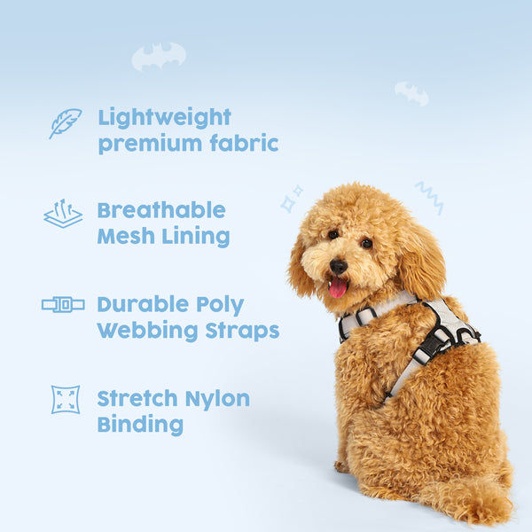 Warner Bros Batman Harness for Dogs and Cats