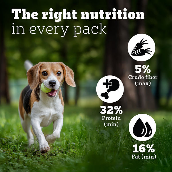 Pedigree PRO Expert Nutrition Lactating/Pregnant Mother & Puppy Starter (3 to 12 Weeks) Small Breed Dog Dry Food