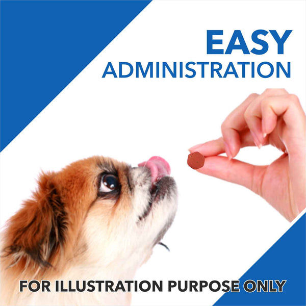 Drools Absolute Skin & Coat and Absolute Vitamin Supplement Tablets for Dogs Combo