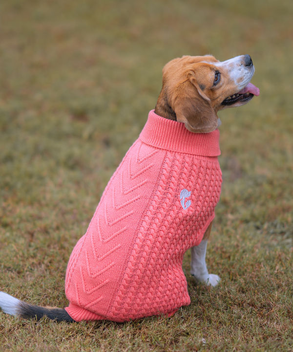 Pet Set Go Cable Knit Sweater for Dogs (Peach)