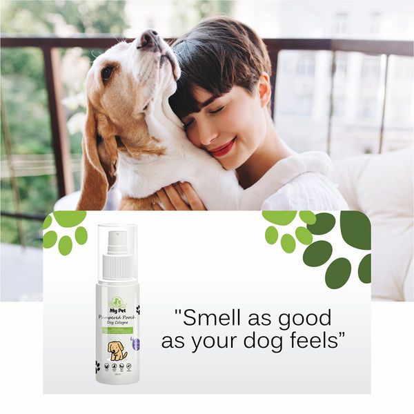 Groom My Pet Lavender and Jasmine Pampered Pooch Cologne for Dogs