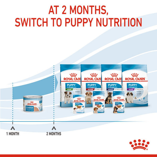 Royal Canin Mousse Mother and Baby Starter Dog Wet Food