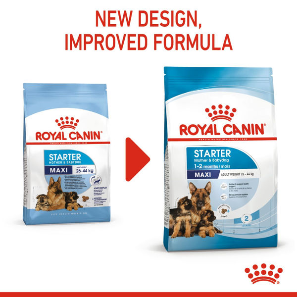 Royal Canin Maxi Starter, Mother & Babydog Dry Food