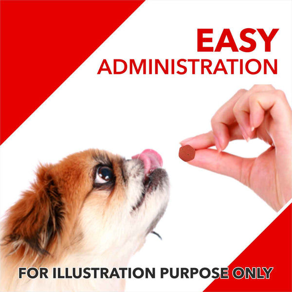 Drools Absolute Vitamin and Absolute Calcium Dog Supplement Tablets Combo