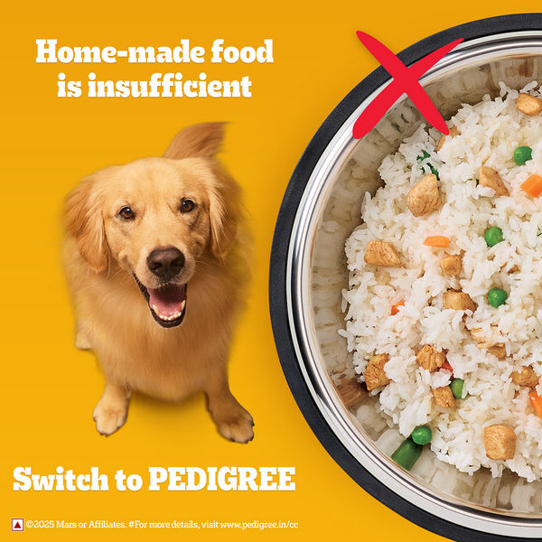 Pedigree Chicken, Egg and Rice Adult Dog Dry Food