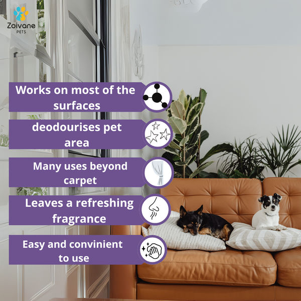 Zoivane Pets Black Currant Odour Remover Spray for Dogs and Cats