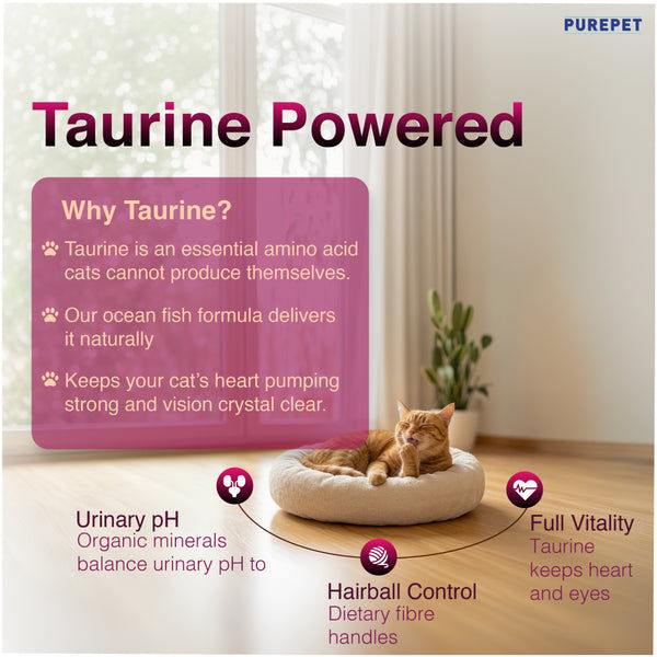 Purepet Tuna and Salmon Adult Cat Dry Food