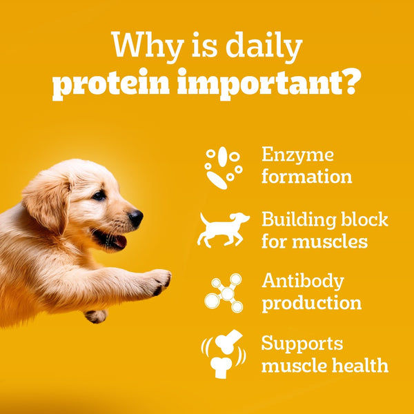 Pedigree Chicken & Liver Chunks in Gravy Puppy Wet Dog Food