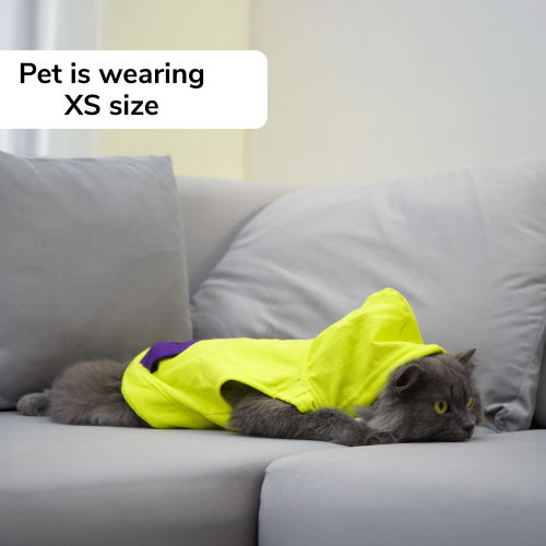 Skatrs Galaxy Breezy Hoodies with Pockets for Dogs and Cats (Green)