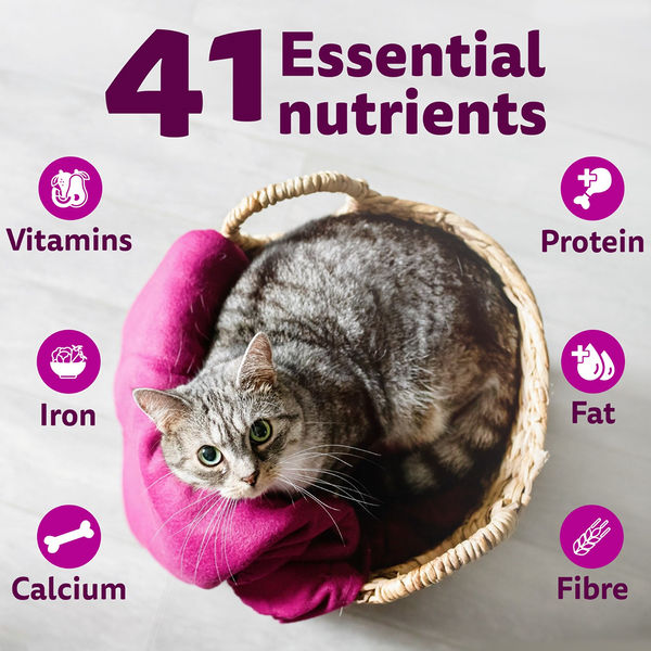 Whiskas Chicken Flavour Cat (Adult 1+) Dry Food