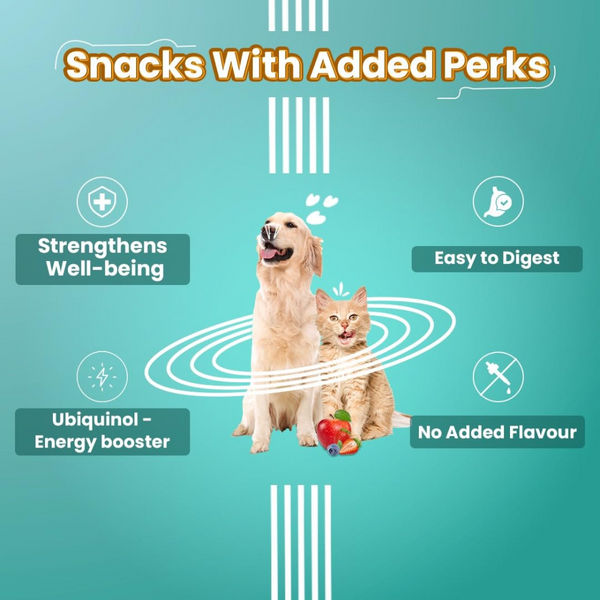 Bark Out Loud Immunity Multi Vitamin Chew Stix and Kong Classic Toy for Dogs and Cats Combo