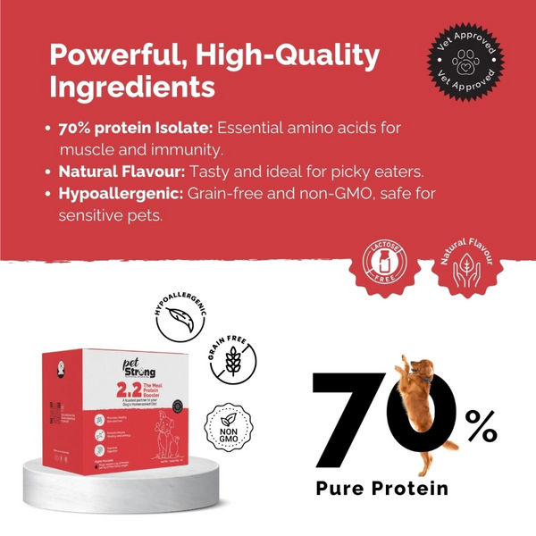 PetStrong 2.2  Meal Protein Booster for Dogs