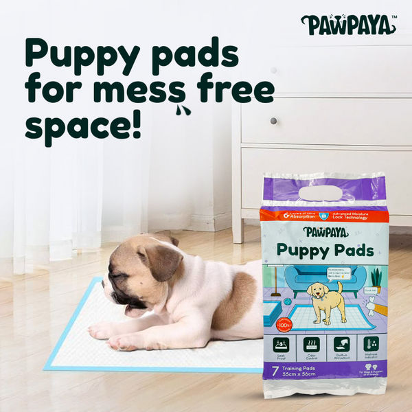 Pawpaya Training Pad for Dogs (White)