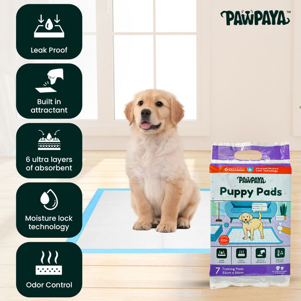 Pawpaya Training Pad for Dogs (White)