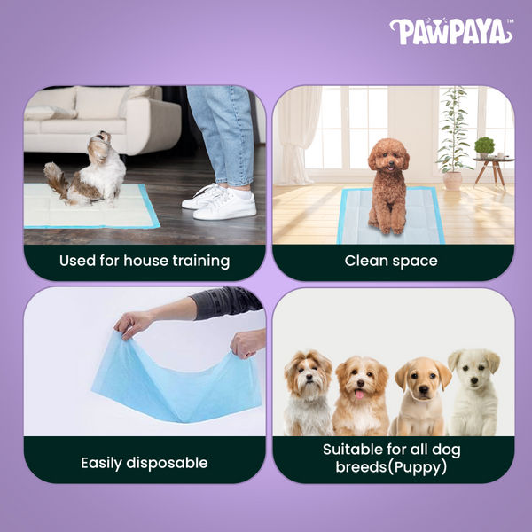 Pawpaya Training Pad for Dogs (White)
