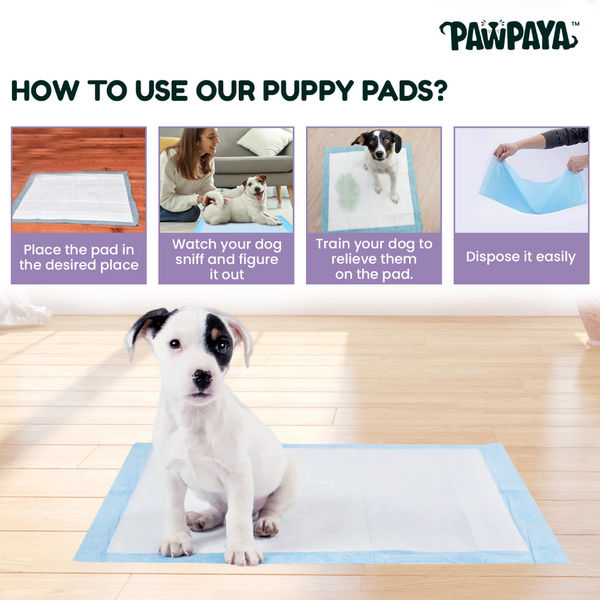 Pawpaya Training Pad for Dogs (White)