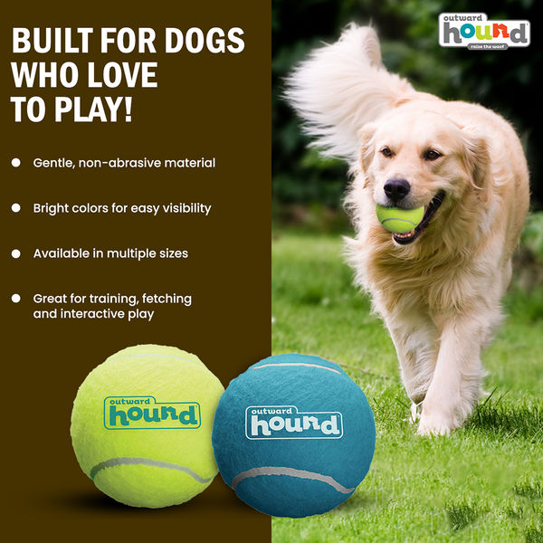 Petstages Squeaker Tenis Ballz Toy for Dogs (Blue/Green)