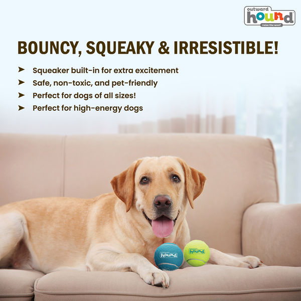 Petstages Squeaker Tenis Ballz Toy for Dogs (Blue/Green)