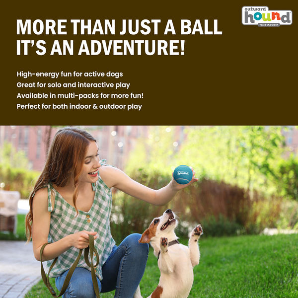 Petstages Squeaker Tenis Ballz Toy for Dogs (Blue/Green)