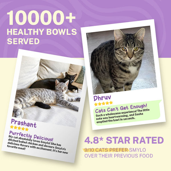 Smylo Kitten Chicken & Liver, Pomegranate, Fresh & No-Preservative Wet Cat Food