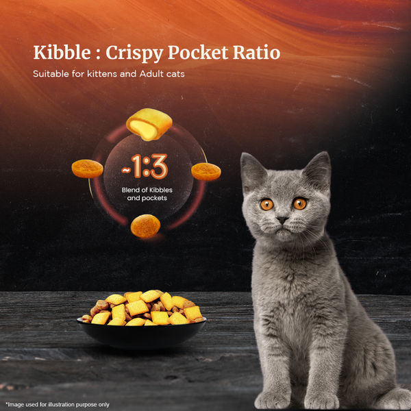 Sheba Tuna Fillet & Whole Prawns in Gravy Premium Cat Wet Food and Chicken Flavour Irresistible All Life Stage Cat Dry Food Combo
