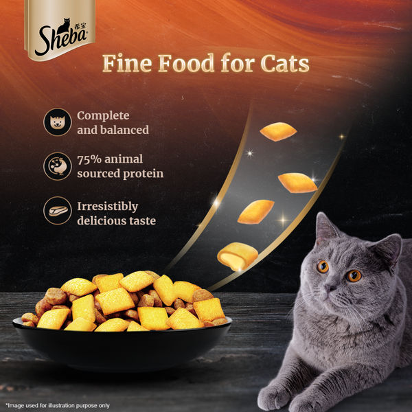 Sheba Chicken Loaf Rich Premium Adult Fine Wet Food and Chicken Flavour Irresistible All Life Stage Cat Dry Food Combo