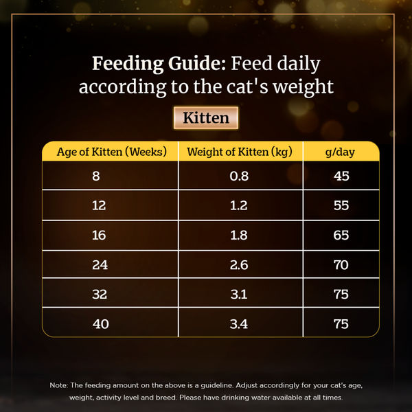 Sheba Salmon Flavour and Chicken Flavour Irresistible All Life Stage Cat Dry Food Combo