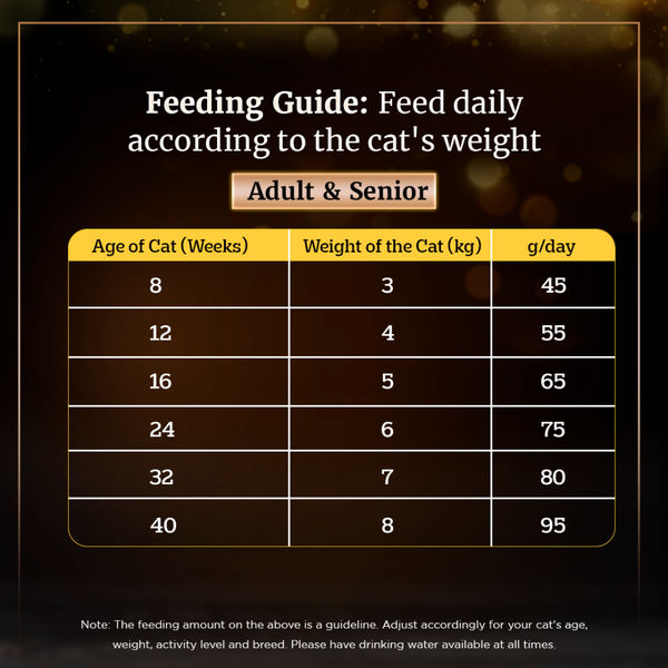 Sheba Tuna Fillet & Whole Prawns in Gravy Premium Cat Wet Food and Chicken Flavour Irresistible All Life Stage Cat Dry Food Combo