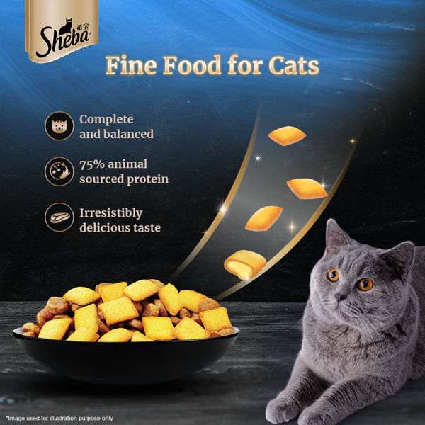 Sheba Complete Nutrition Tuna White Meat & Snapper In Gravy Cat Wet Food and Salmon Flavour Irresistible Cat Dry Food Combo