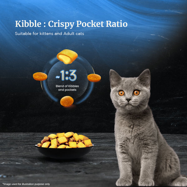 Sheba Complete Nutrition Tuna White Meat & Snapper In Gravy Cat Wet Food and Salmon Flavour Irresistible Cat Dry Food Combo