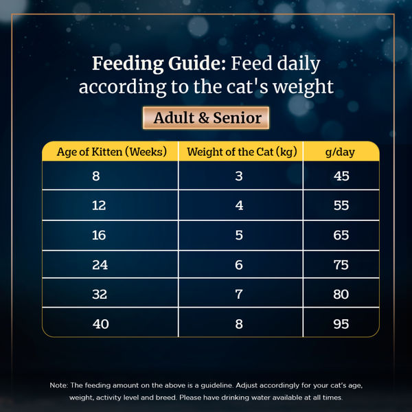 Sheba Salmon Flavour and Chicken Flavour Irresistible All Life Stage Cat Dry Food Combo