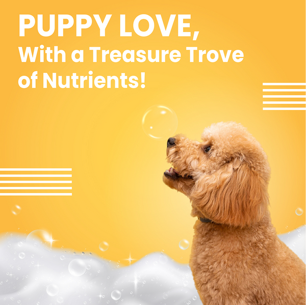 Bark Out Loud Soft Coat Puppy Shampoo for Dogs