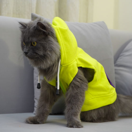 Skatrs Galaxy Breezy Hoodies with Pockets for Dogs and Cats (Green)