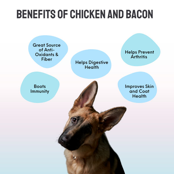 Floof & Co Assorted Cookies Dog Treats