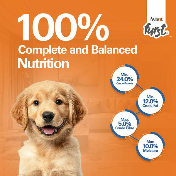 Avant Furst Chicken and Vegetable Puppy Dry Food