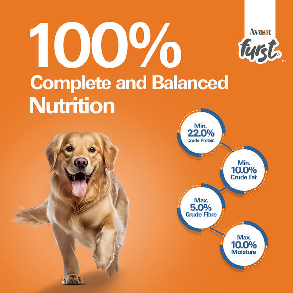 Avant Furst Chicken and Vegetable Adult Dog Dry Food