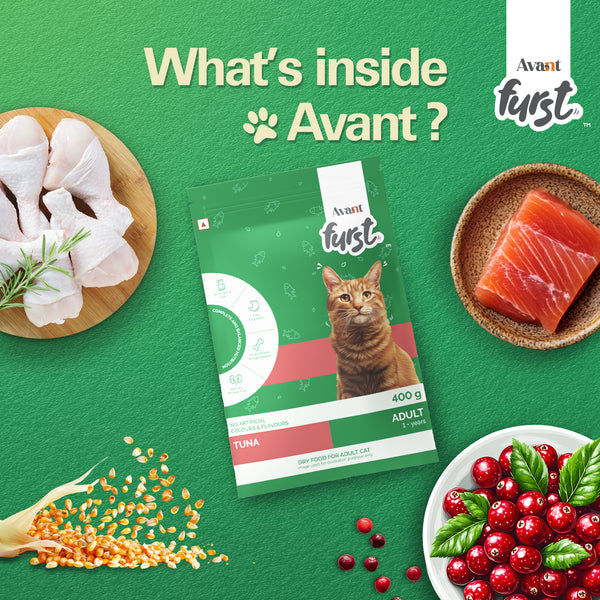 Avant Furst Tuna Fish Flavour Adult Cat Dry Food