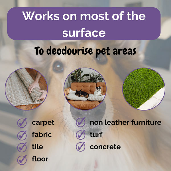Zoivane Pets Black Currant Odour Remover Spray for Dogs and Cats