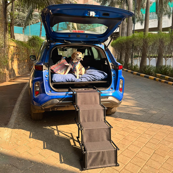 FurryLiving Foldable Pet Stair Ramp for Dogs and Cats (Black)