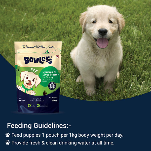 Bowlers Chicken & Milk Nutrimax Puppy Dog Dry and Chicken & Liver Recipe in Gravy Puppy Dog Wet Food Combo
