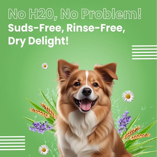 Bark Out Loud No Mess Waterless Shampoo for Dogs
