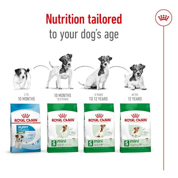Royal Canin Mini Adult Dog Dry Food with 8+ Years of age