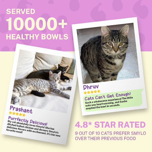 Smylo Adult Chicken & Liver, Pomegranate, Fresh & No-Preservative Wet Cat Food