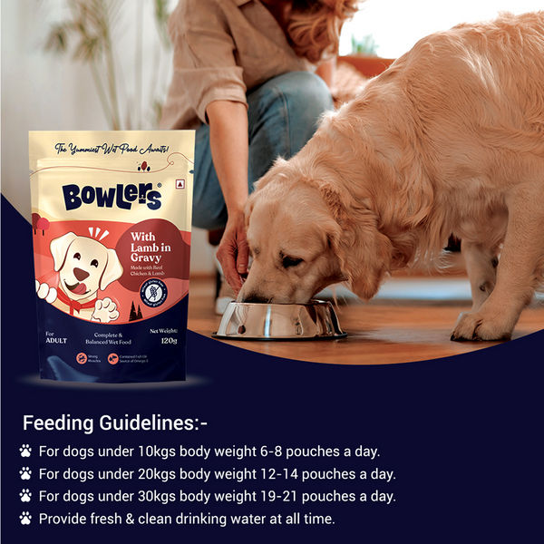 Bowlers Lamb in Gravy Adult Dog Wet Food