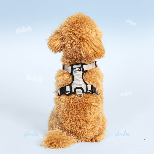Warner Bros Batman Harness for Dogs and Cats