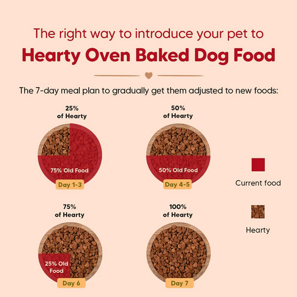 HUFT Hearty Oven Baked Chicken & Fish with Superfoods Puppy Dog Dry Food